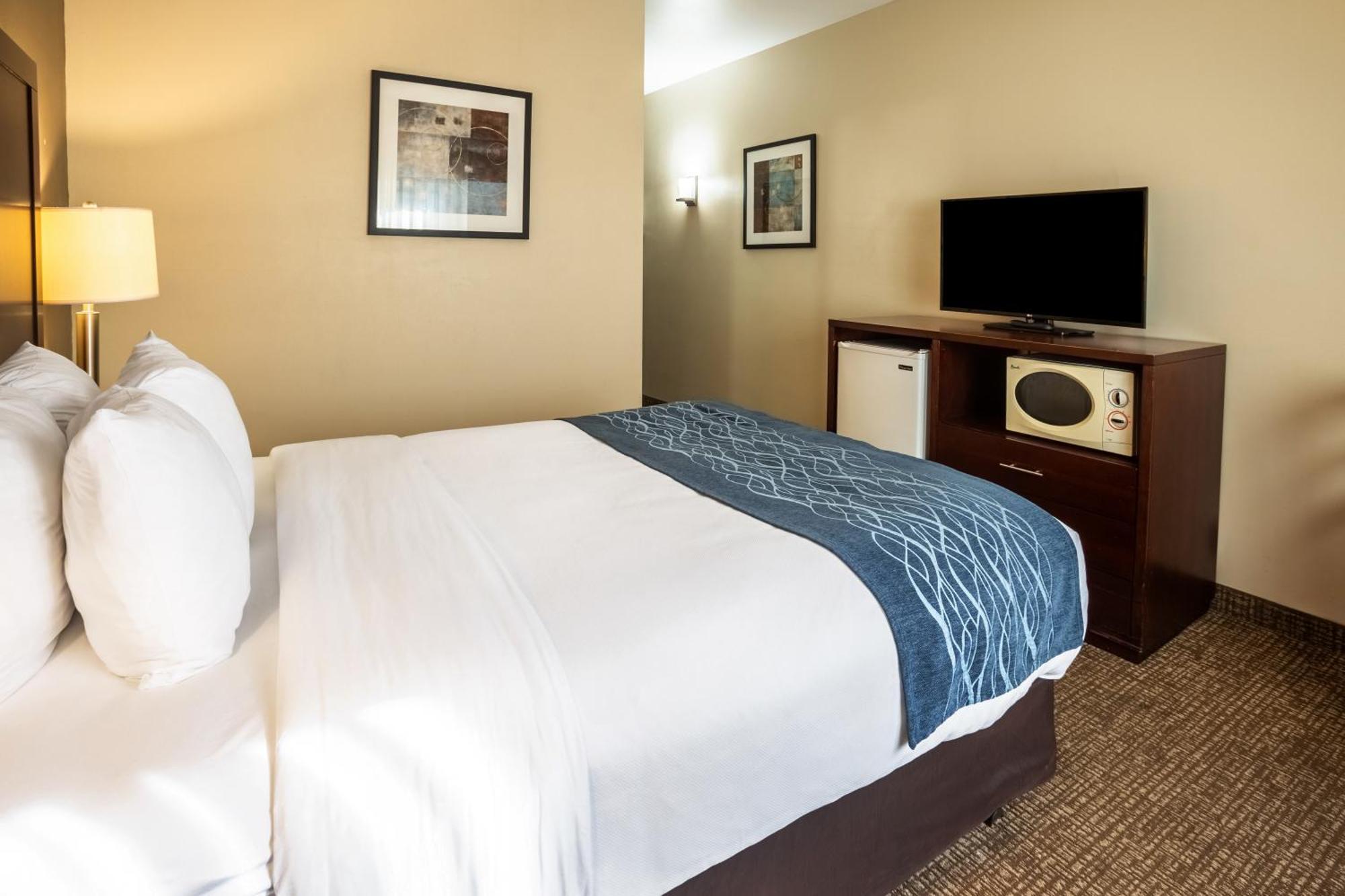 Comfort Inn Lacey - Olympia Exterior photo