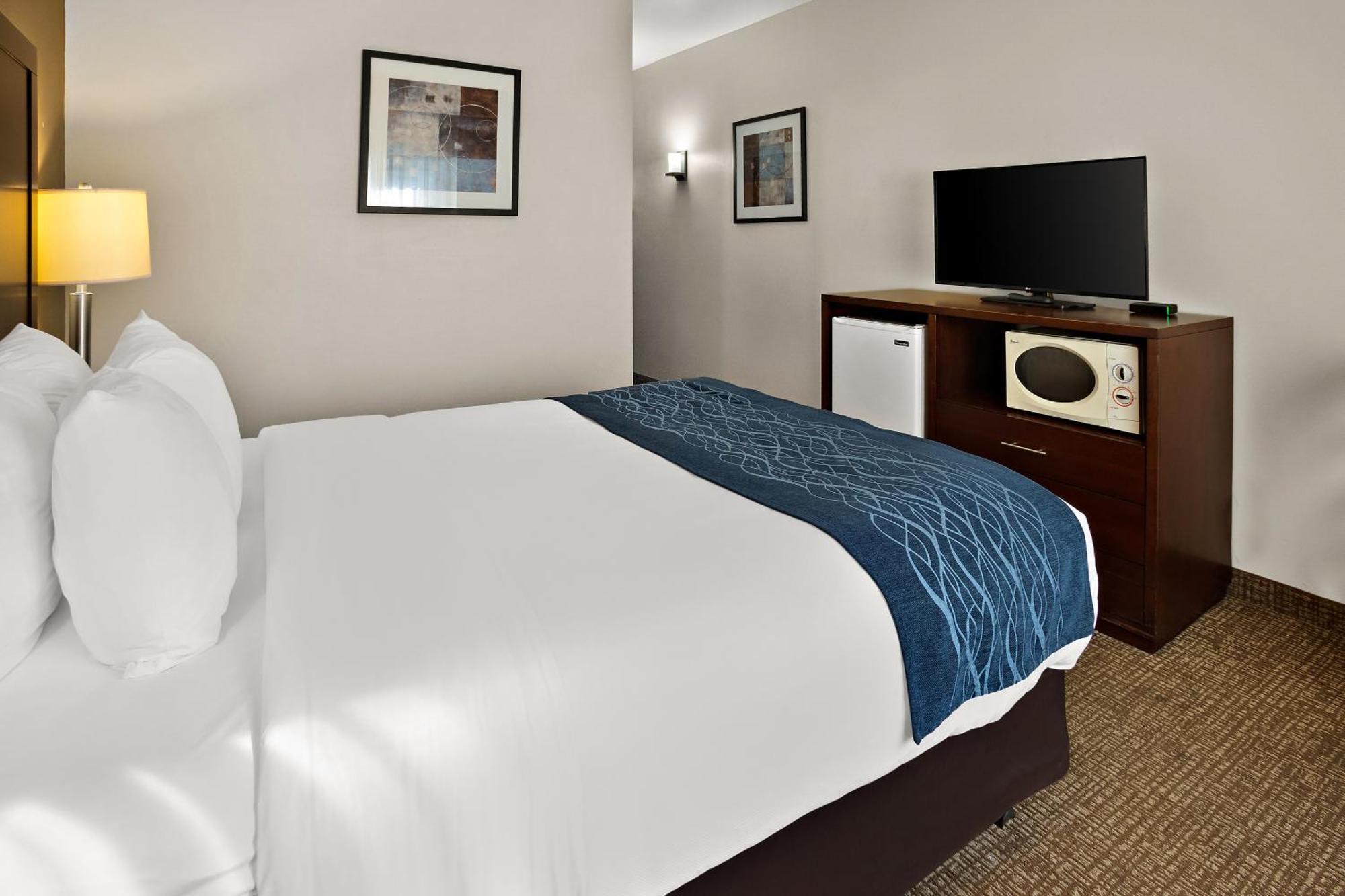 Comfort Inn Lacey - Olympia Exterior photo